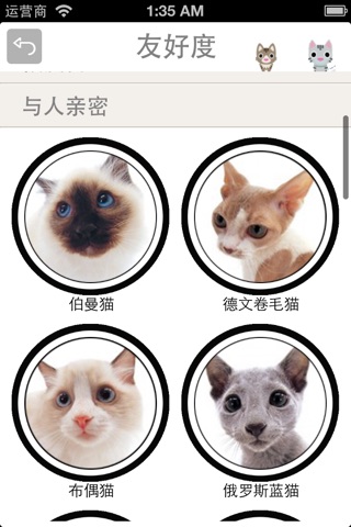 萌猫百科-挑选适合你的猫咪 screenshot 3