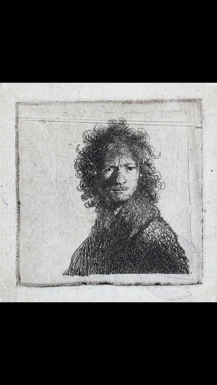 Drawings: Rembrandt van Rijn