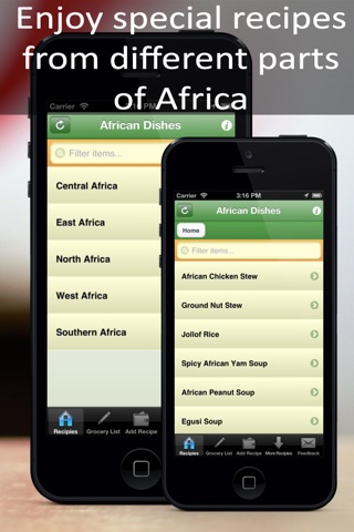 African Dishes screenshot 2