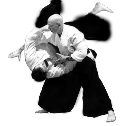 Aikido Self Defense icon