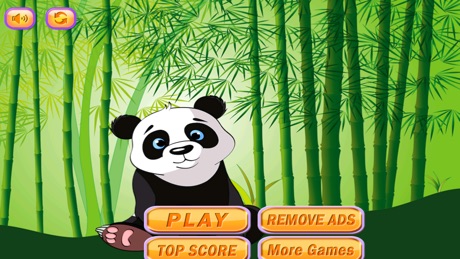 Sky Dash Baby Panda : Bamboo Paradise Jump