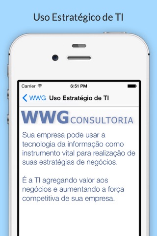 WWG Consultoria screenshot 2