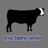 Ervin Embryo