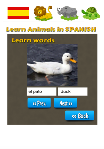 Learn Animals in Spanish Language screenshot 4