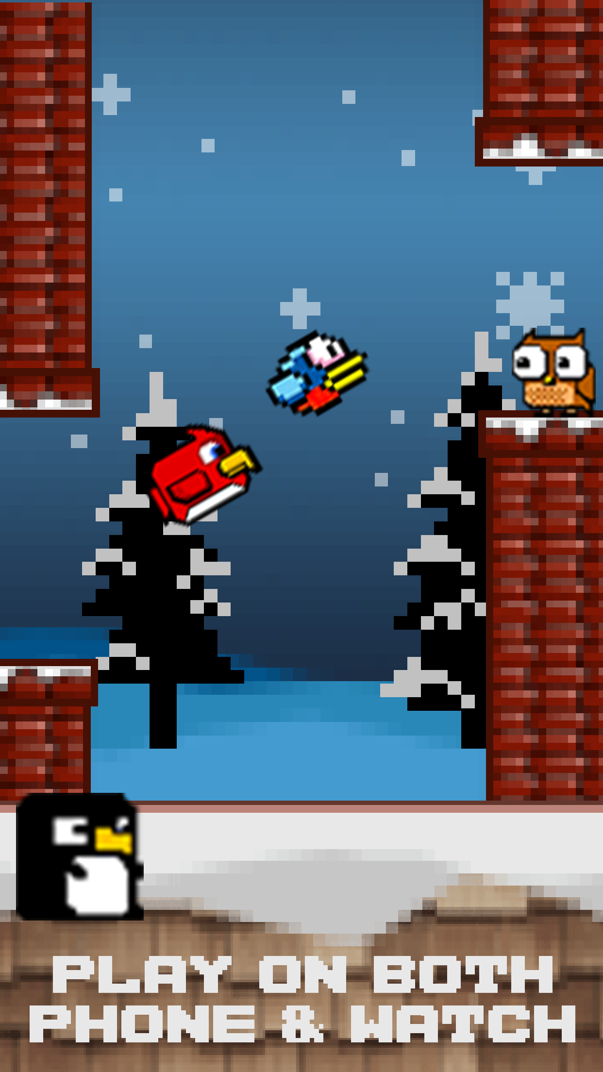 Bird Watch Game Free