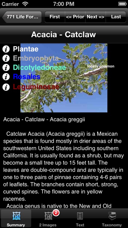 Trees, Shrubs and Vines of North America - eTreesNA - A Tree App screenshot-3