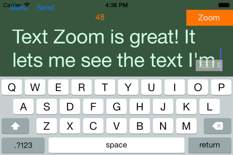 Text Zoom screenshot 4