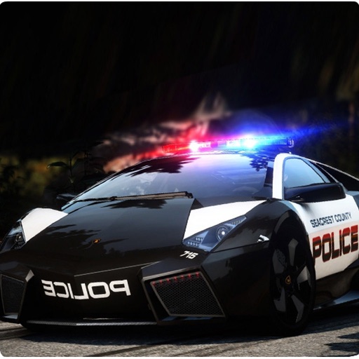 Police Car Driving 2016 icon