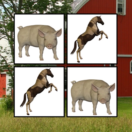 Memorize Farm Icon