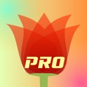 LiveDOF Pro - Blur Tiltshift Macro Miniature Animation Creator icon