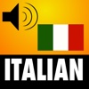 499 Italian Verbs - Italian Vocabulary Builder With Kavsky