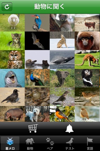 AudioZoo: Animal Sounds screenshot 4