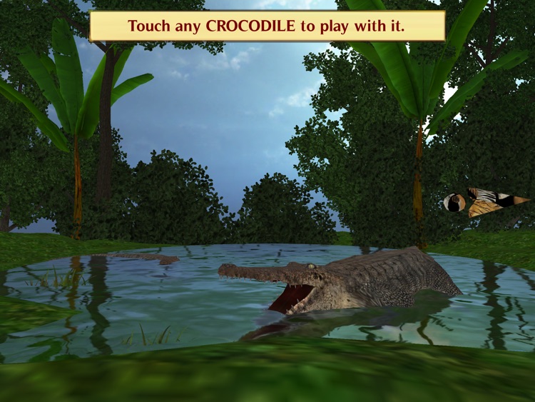 Magic Boox: Jungle Safari