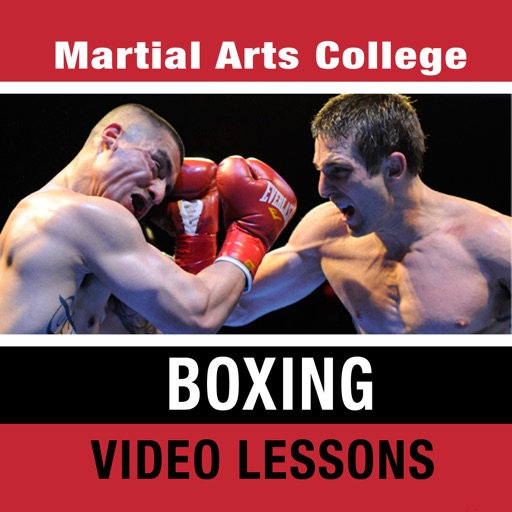 Boxing Lessons - M.A.C. Martial Arts College