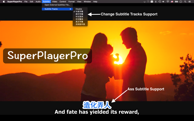 SuperPlayerPro - A fully functional media player able to pla(圖5)-速報App