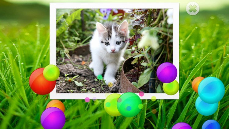 Cats puzzle - fun for kids screenshot-3