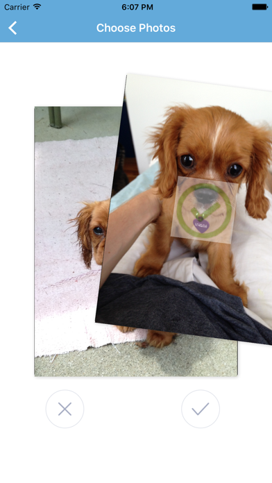 Swipe and Print iPhone screenshot 2 - Photo & Video app