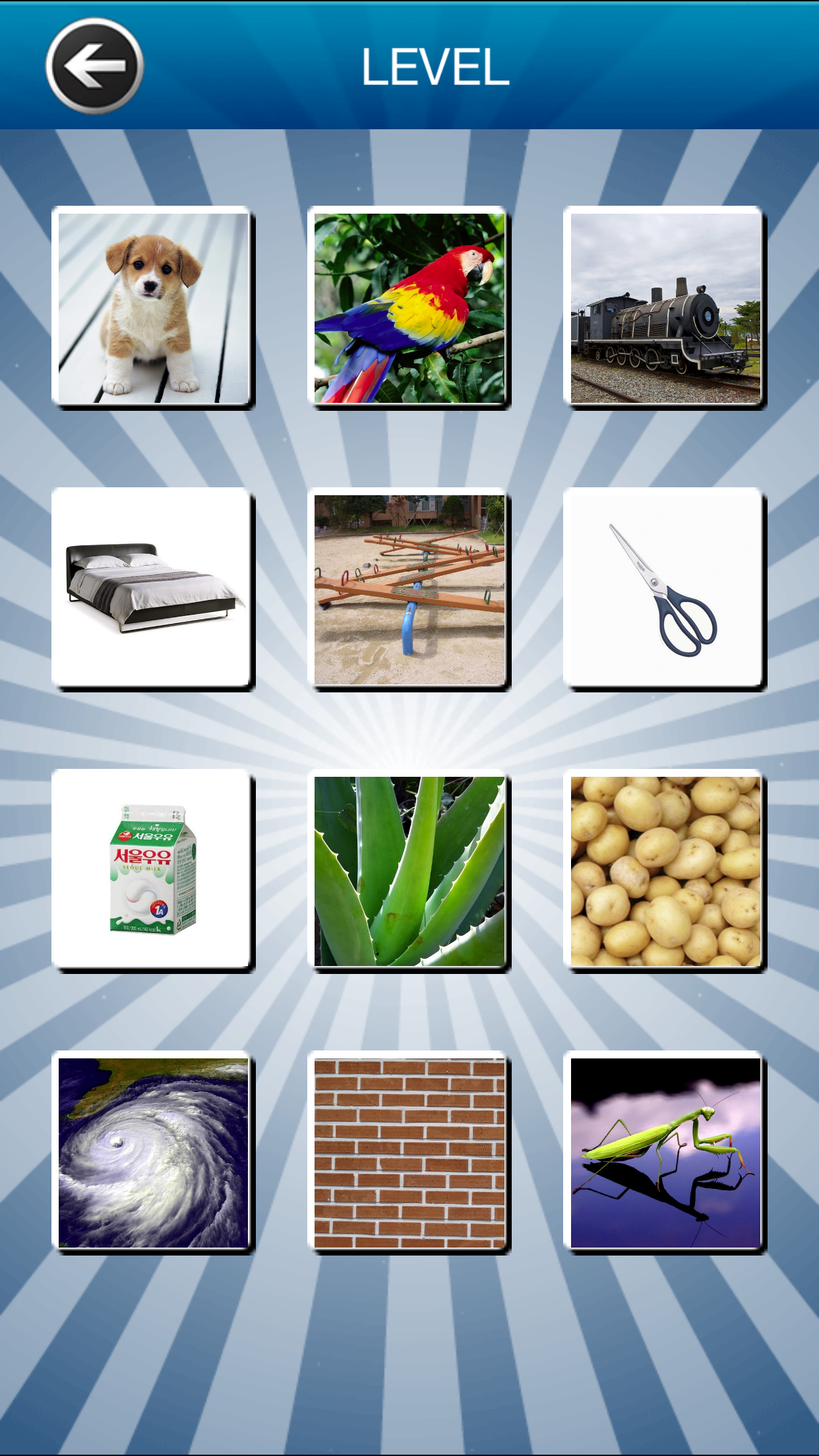 KIDS QUIZ - with parents