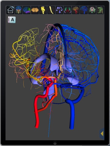 The Complete Human Brain PRO screenshot 3