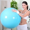 Pilates Gym Ball & Resistance Bands Workouts
