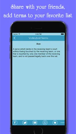 Game screenshot VolleyBall Terms hack