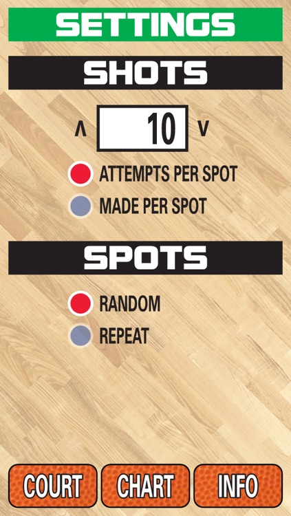 Spot Shot Basketball