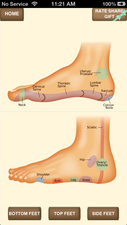 iPocket Foot Reflexology screenshot-3