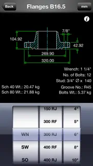 piping database - flanges iphone screenshot 4