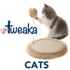 Tweaka Cats