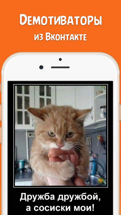 Screenshot #1 pour Чёткие приколы - прикольные картинки демотиваторы, смешные мемы из Вконтакте / ВК / VK