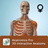 Female Anatomy 3D - Anatronica