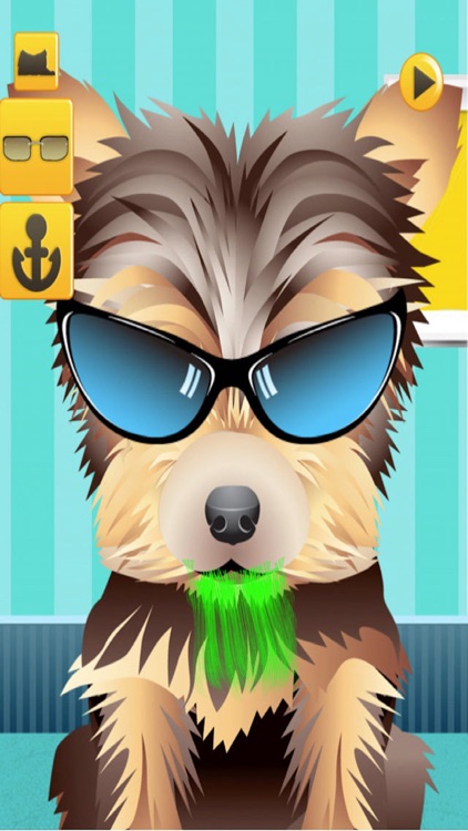 A Cute Puppy Shave Salon - eXtreme Makeover Spa Games Edition screenshot-3
