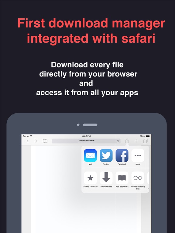 Screenshot #4 pour Mr Download
