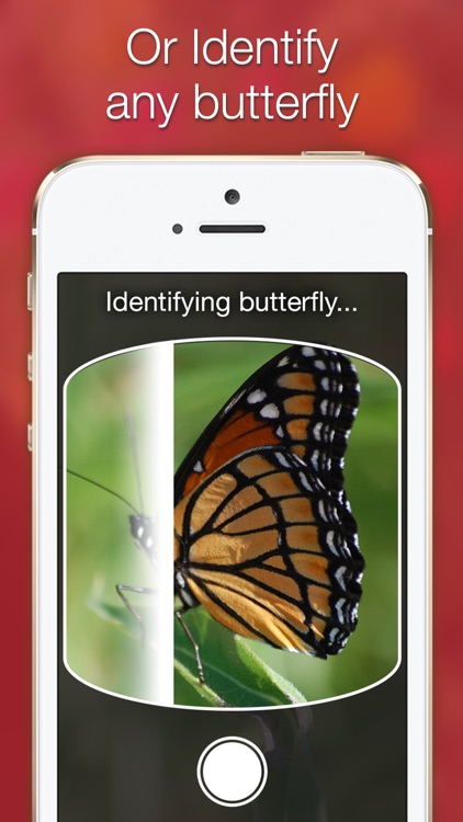LikeThat Garden – Flower Identification
