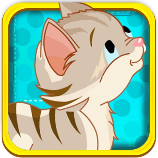 Baby Kitten Jump iOS App