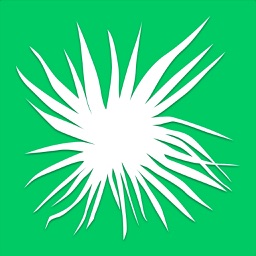 Jardín Botanico Culiacan