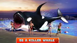 killer whale beach attack 3d problems & solutions and troubleshooting guide - 1