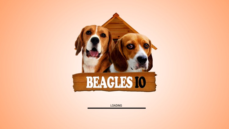 Beagles IO