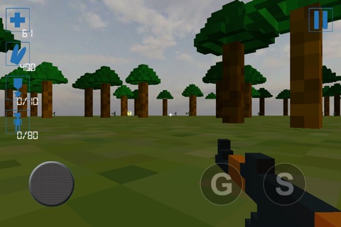 MC-Strike screenshot 2