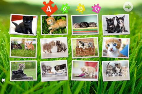 Cats puzzle - fun for kids screenshot 2