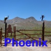 Phoenix Street Map