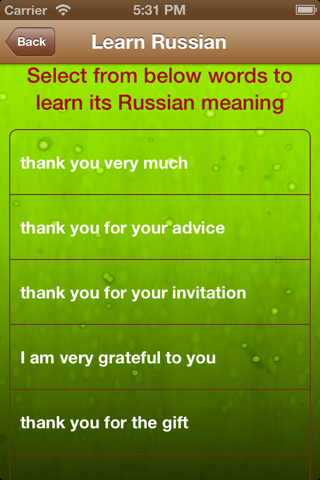 Learn Russian Phrases In Female Voice screenshot 2