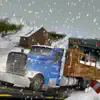 Winter Highway Truck Driver Rush 3D Simulator Positive Reviews, comments