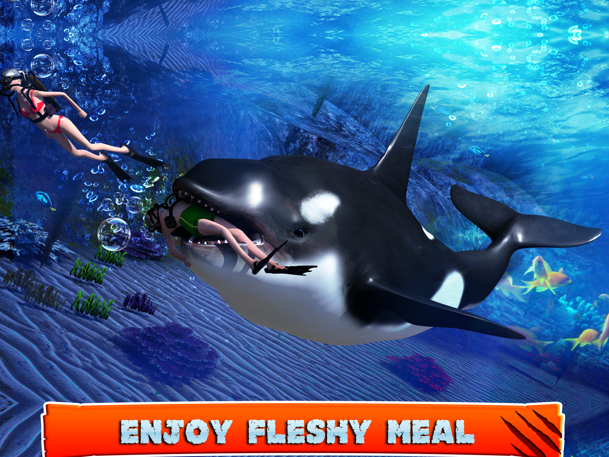 Killer Whale Beach Attack 3D