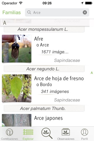 PlantNet screenshot 2