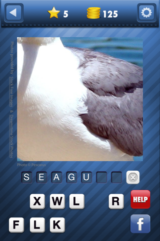 Pic Pop - guess what's that zoomed picture icon riddle in this fast word quiz to game screenshot 3