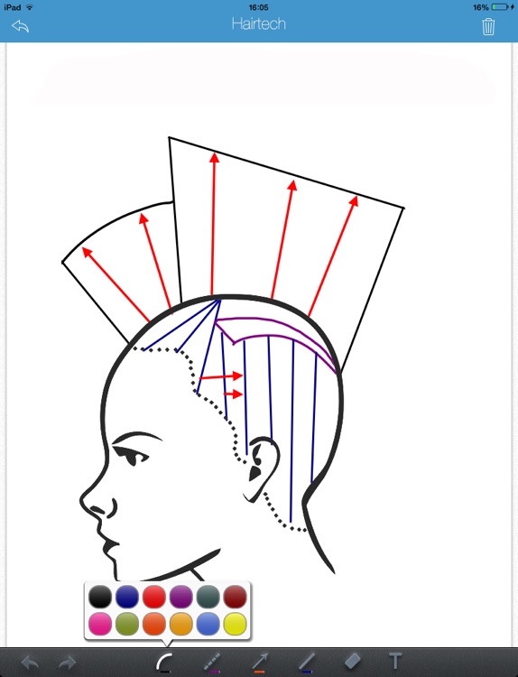 HairTech-Head Sheets