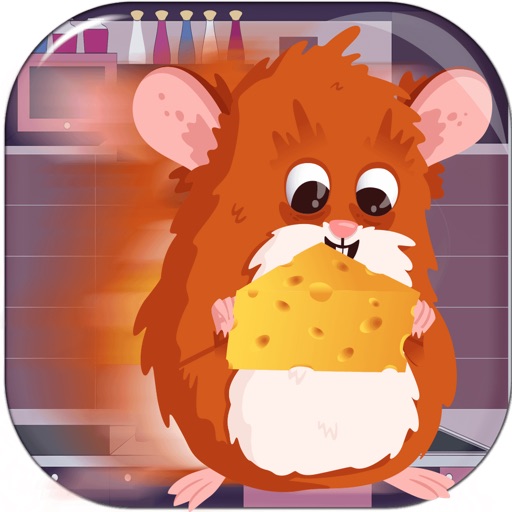 Hamster Run Cheese Adventure iOS App