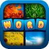 WordApp - 4 Pics, 1 Word, What's that word? - iPadアプリ