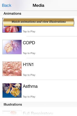 Respiratory Anatomy Atlas: Essential Reference for Students and Healthcare Professionals screenshot 4